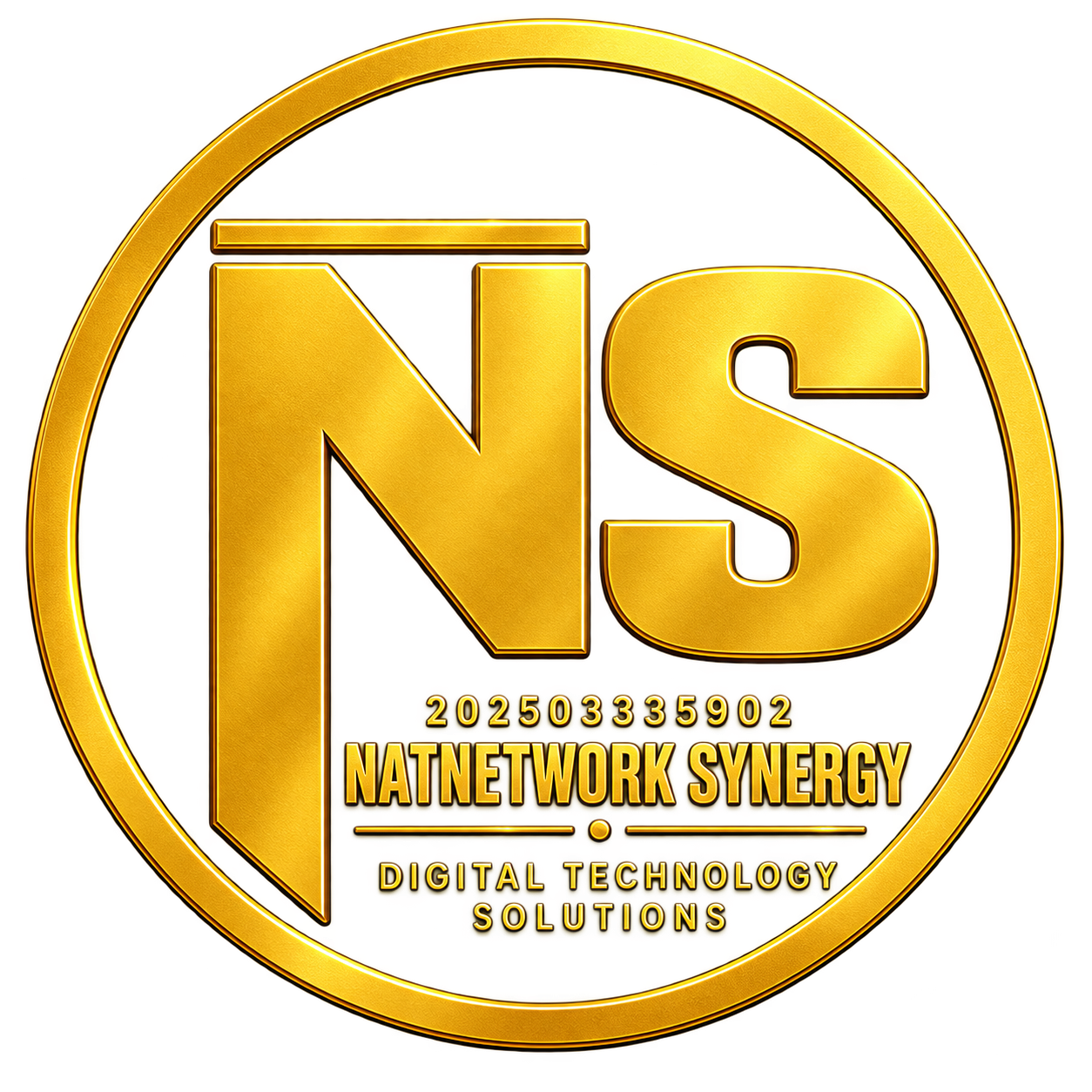 NatNetwork Synergy